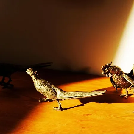 Daire Art Puszczykowo