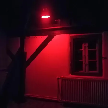 Art * Puszczykowo