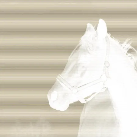 Daire Art Puszczykowo