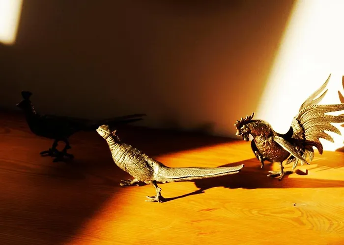 Daire Art Puszczykowo