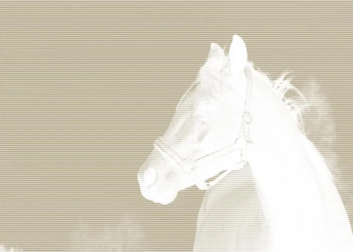 Daire Art Puszczykowo